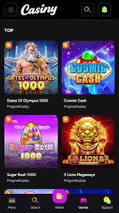 Explore the Thrills of Casiny Casino