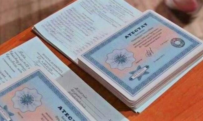 Купить диплом программиста официально 4