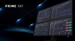 Primexbt Bitcoin Prediction Market Insights and Future Trends Primexbt Bitcoin Prediction Market Insights and Future Trends