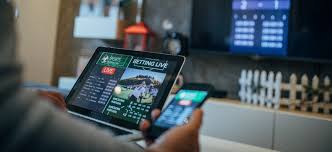 The Ultimate Guide to Ginja Bet Your Gateway to Online Betting